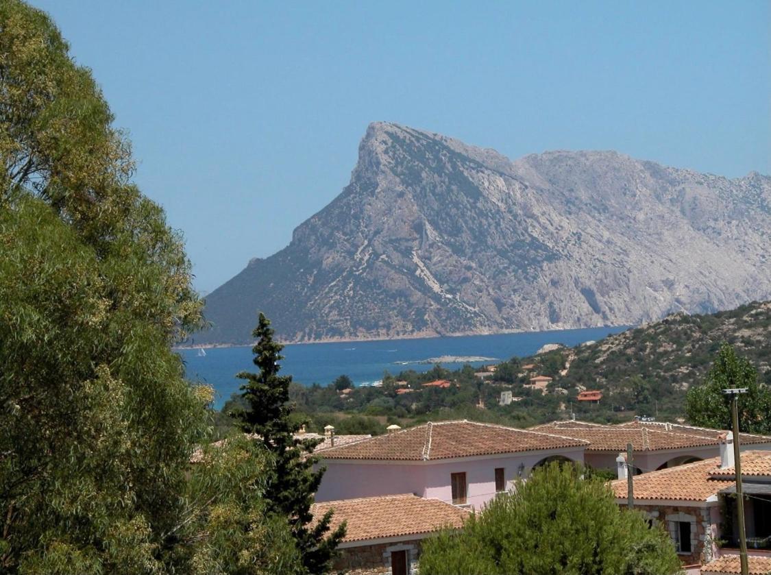 Residence Agrifoglio Monte Petrosu Dış mekan fotoğraf