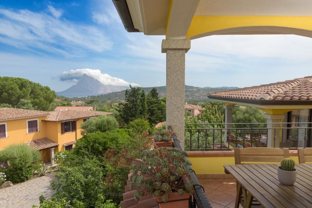 Residence Agrifoglio Monte Petrosu Dış mekan fotoğraf